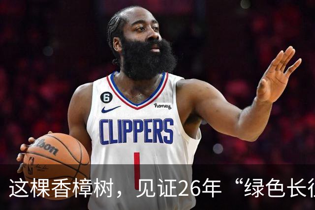 这棵香樟树，见证26年“绿色长征”